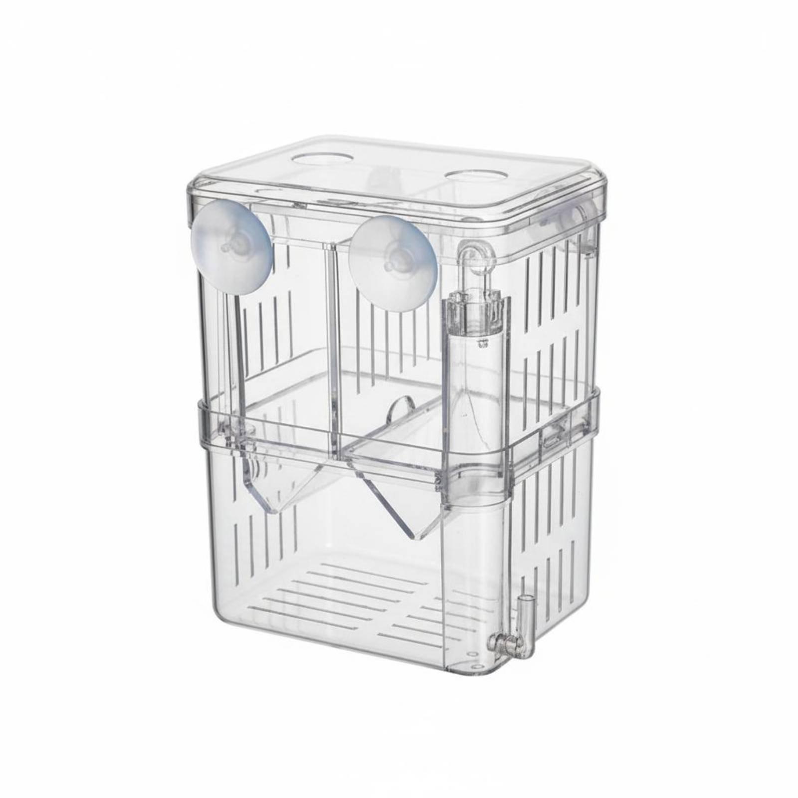 Aquarium & Marine Museum Universiti Malaysia Sabah Kota Kinabalu Sabah Reviews - Doppelschichtiger Aquarium-Zuchtbehälter, transparenter Brüterei-Box für Fischzuchtbedarf