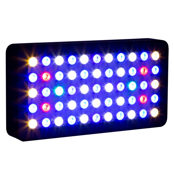 Marine Aquarium Used - 3W-Chip-LED für Aquarien, programmierbares LED-Aquariumlicht für