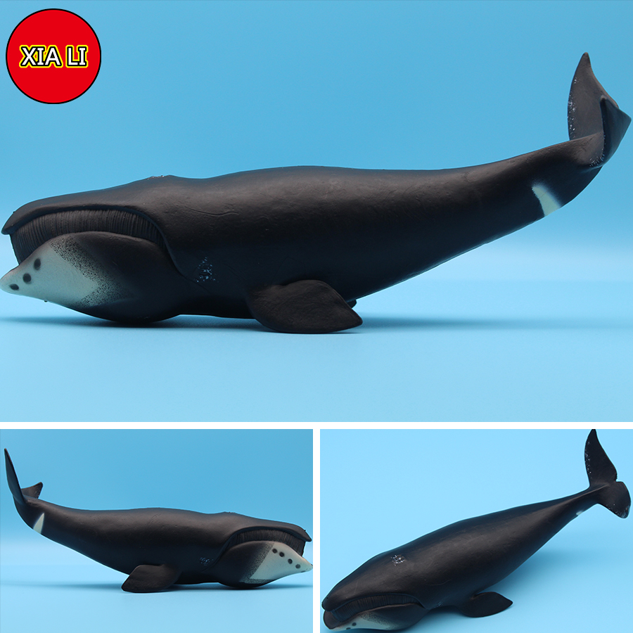 Meereslebewesen-Simulation: Ki – Marine Life Aquariums Bewertung und Preis