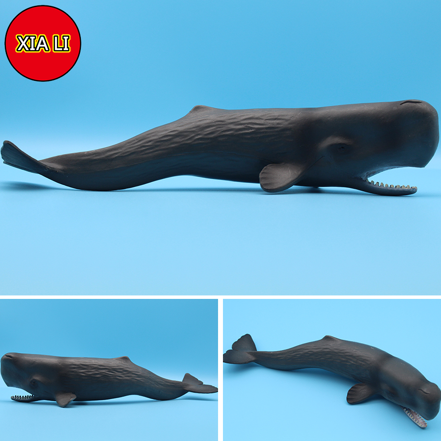 Meereslebewesen-Simulation: Ki – Marine Life Aquariums Bewertung und Preis