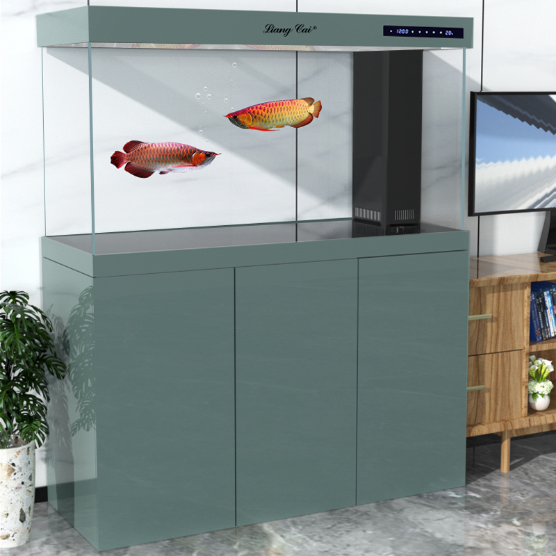 Ultraklares Modernes Glas-Aqua – Marine Life Aquariums Bewertung und Preis