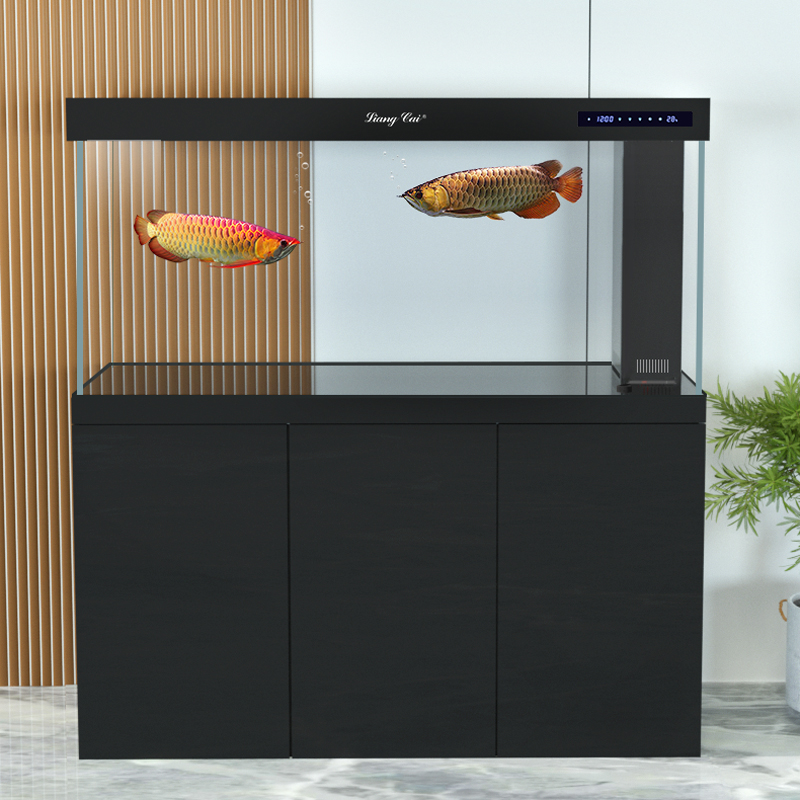 Ultraklares Modernes Glas-Aqua – Marine Life Aquariums Bewertung und Preis