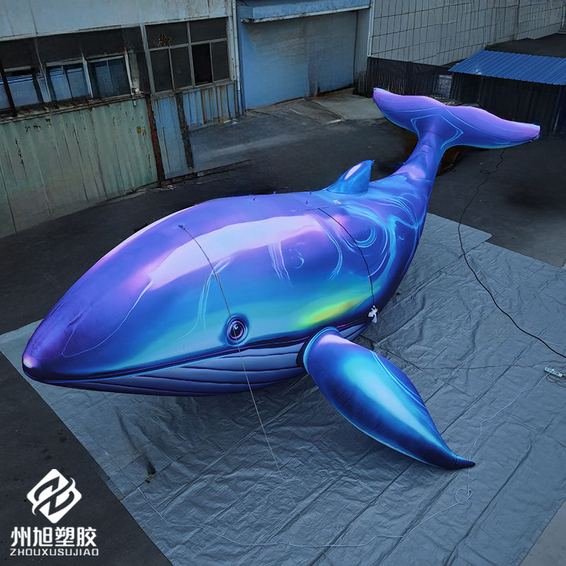 Aufblasbarer Blauwal, als deko – Marine Life Aquariums Bewertung und Preis