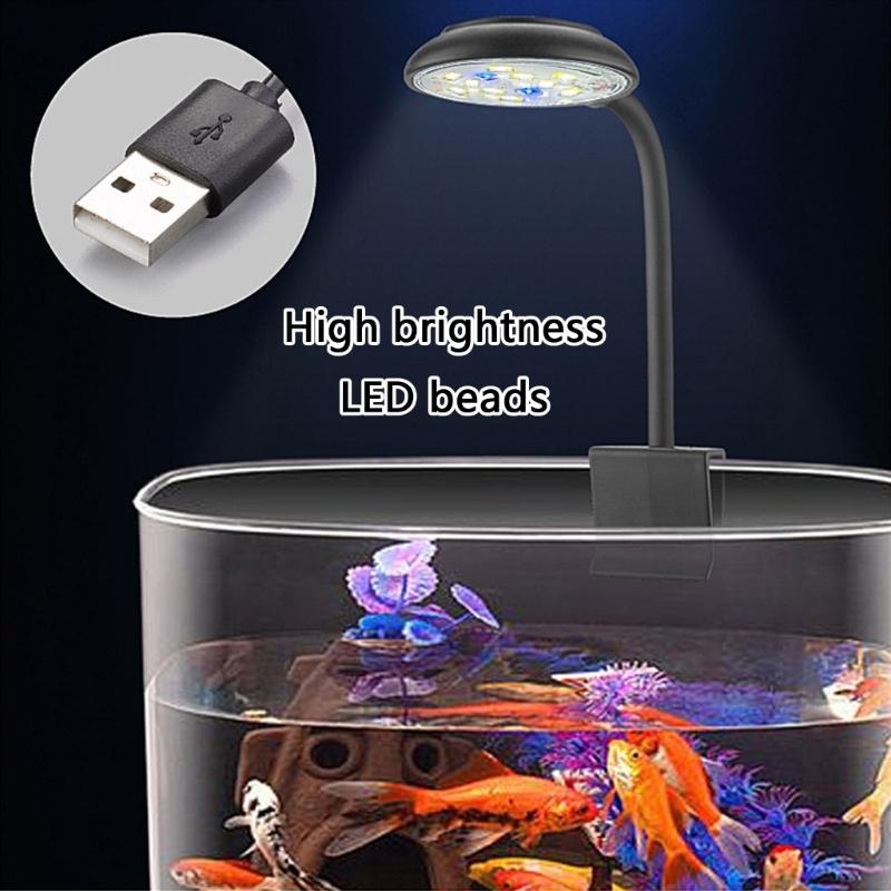 Anpassung der Helligkeit LED - – Marine Life Aquariums Bewertung und Preis