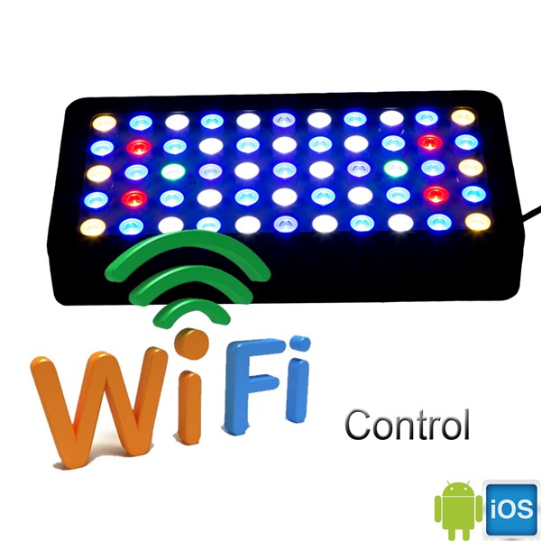 3W-Chip-LED für Aquarien, prog – Marine Aquarium Used Bewertung und Preis
