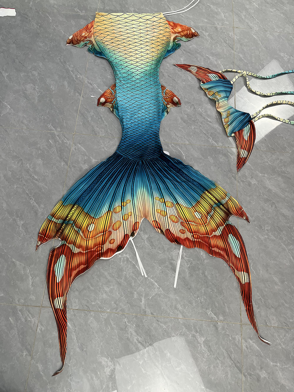Neue Muster Meerjungfrau Schwa – Aquarium & Marine Museum Universiti Malaysia Sabah Kota Kinabalu Sabah Reviews Bewertung und Preis