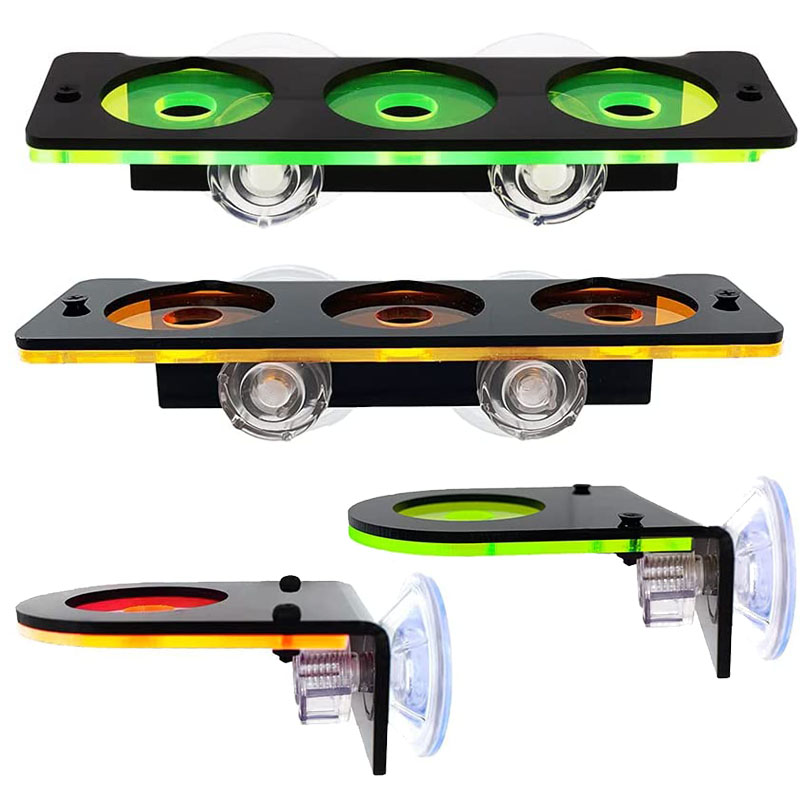 Fluoreszierende Korallen Frag  – Marine Aquarium Aquascape Bewertung und Preis