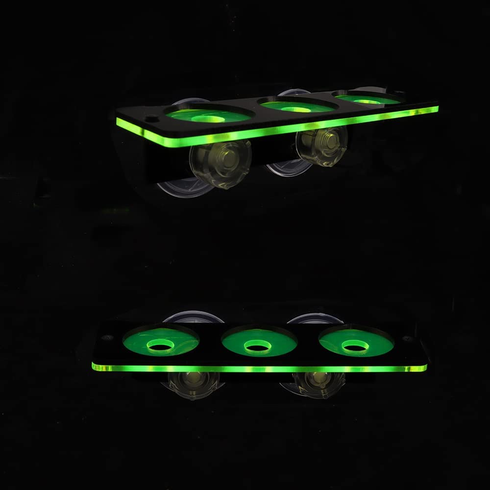 Fluoreszierende Korallen Frag  – Marine Aquarium Aquascape Bewertung und Preis
