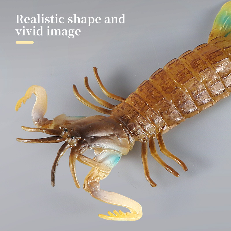 Meereslebewesen Actionfiguren- – Marine Life Aquariums Bewertung und Preis
