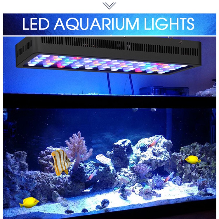 BT Wireless Control DIY Spektr – Marine Aquarium Used Bewertung und Preis