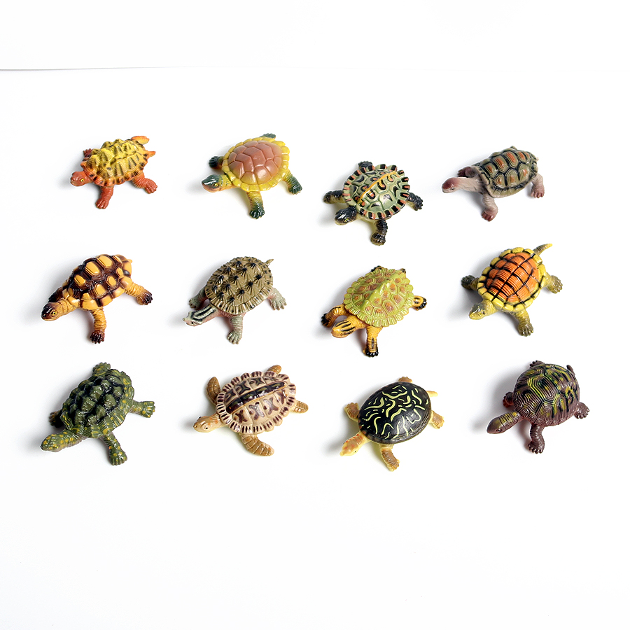 Realistische Miniaturen Meeres – Marine Life Aquariums Bewertung und Preis